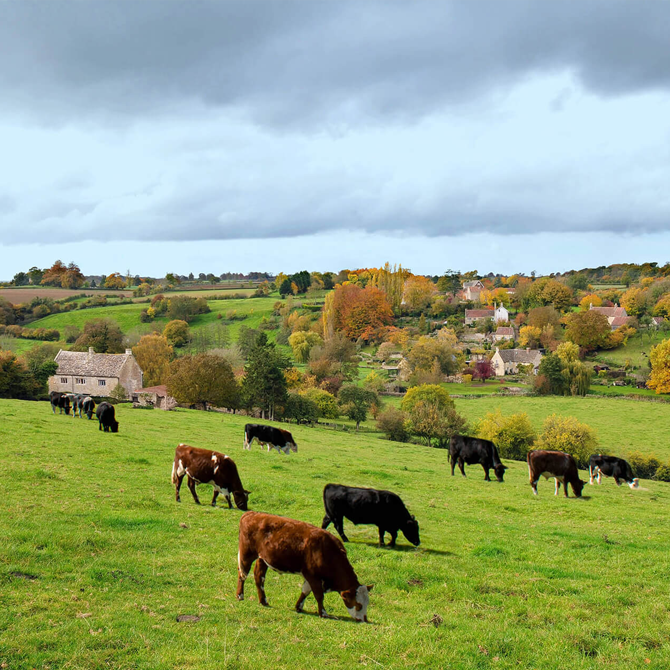 Lorem ipsum dolor sit amet, consectetur adipiscing elit, sed do eiusmod tempor incididunt ut labore et dolore magna aliqua.